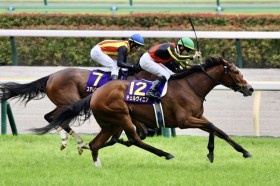 �y�I�[�N�X�z�����[���̑N�₩�Ȏ�j���΂��I�`�F�����B�j�A���S�[���O�̐ڐ�𐧂���