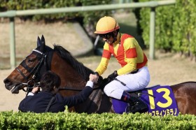 �y���{�_�[�r�[�z���s�̎H���ܔn�E�W���X�e�B���~���m��7�g15�Ԃ�