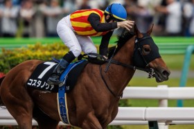 �y�OS�z�R�X�^�m���@��3�A���ŃI�[�v��������