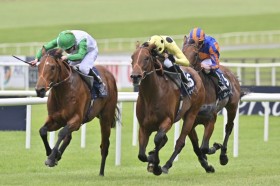 �y��2000�M�j�[�z���T���I����G1�E2���ځcR.�n�m���X�Ƀ����c�[