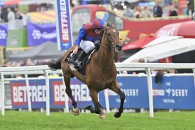 �y�p�R���l�[�V�����J�b�v�z���[�A�R��E���N�Z���u���N���N�₩�ȓ����؂�