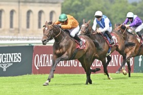 �y���_�[�r�[�z���b�N�h���F�K�����s�Ń_�[�r�[���e