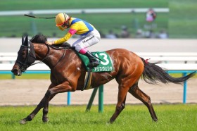 �y�}�[���C�hS�z�i���܂Ȃ݂̑哦���y��I�A���X���F���e2�n�g��V�Ől�n���ɏd�܏����e