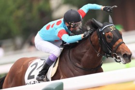 �y����2R�z���L�J���o�[�����h�������؂�V