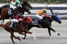 �y������ʁz�P��1.1�{�A�b�V�����o�j�p���������Ԃ���V