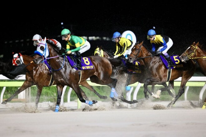 帝王賞】川田「勝ち馬が強かったです」レース後ジョッキー