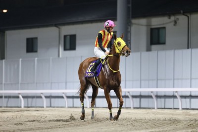 【スパーキングレディーカップ】菅原明「厳しい競馬になりました」ヴィブラフォンは3着敗退