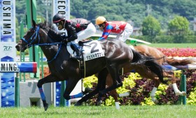 �y�V�n/����5R�z�w�����[�o���[�Y�Y�� �W�F�b�g�}�O�i�����f�r���[V