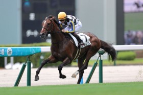 �y�V�n/���q5R�z�G�s�t�@�l�C�A�Y�� �W���o���j���f�r���[V�c3���~�z�[�X��3���s��