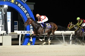 �y�k�C���X�v�����gC�z���L�`�J�b�p���N�₩�ȍ����؂�V