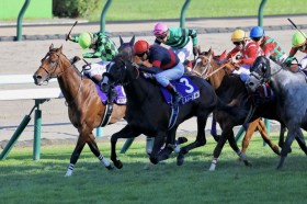 �yWASJ�E��2��z�����[���R�� �V���o���c�N�[�Q�����l�C�ɉ�����