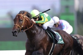 �y�L�[�������hC�z���[���R�� �T�g�m���[�����d�ܘA��