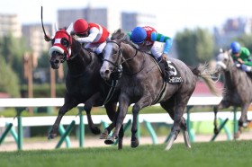 �y�^�C�����hC�z�匃��I�V���E�i���o�V�b�g���ǂ���ׂ𐧂���