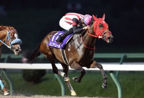 �y�����E�r���[�`�t���h���[�}�[C�z�~�j�A�`���[�����d��8���ځc���X�؎u���u��Ԃ��������ǂ��Ȃ��Ă���v