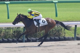 �y���R3R�z�i�_���Y�� �p�[�X�E�F�C�h��3�n�g��������