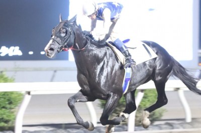 【高知競馬】林謙佑騎手 地方競馬通算500勝達成