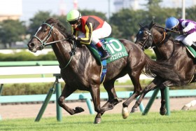 �y�����tAH�z�f�R�l�C�A�X�R���s�`�F�[�m���H����𐧂���