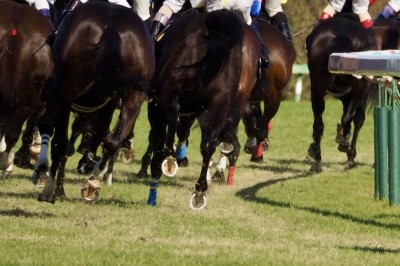 【セントウルS】菅原明「大きく走らせた方がいいタイプ」トウシンマカオが重賞4勝目