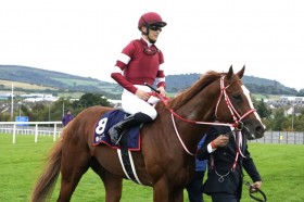 �y���`�����s�I��S�z���t�u���Ɍ����Ă͗ǂ����[�X�������v�V���G���y���[��3��