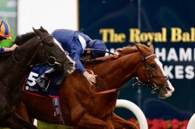 �y���`�����s�I��S�z�}�[�J���h�u�ꊮ�����L�тĂ��ꂽ�v�p�G�R�m�~�N�X��4�A��