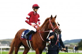 �y���`�����s�I��S�z���ځu���������[�X�ł����v�V���G���y���[��3��