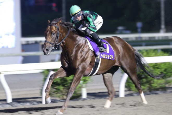 第41回有馬記念 優勝馬単勝馬券 有馬記念(G1) 2024 特集 出走予定