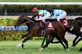 �y�I�[���J�}�[�z���[�x���X�e�B�[�����d��3���ځc�����[���̑N�₩�Ȏ�j���΂����y��