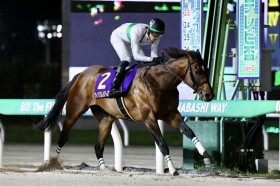 �y���{�e���r�u�z�E�B���A���o���[�Y���N�₩�ȓ����؂�V�c�E�V���o�e�\�[����2��