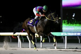 �y�}���[��C�z�e���J�W���E���𗬏d�܏����e�c�f�R�l�C�A�����V�G����4���s��