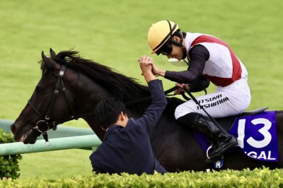 第2、3回中京競馬リーディングジョッキーは西村淳也騎手が獲得