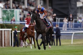 �y�M����܁z�I�[�M���X�g���_���͏o������̌����݁c�N�[�����A�����T�C�g�o���\��n�ɂ͖���A�˂�