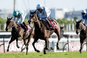 �y�������C�������[�܁z���L�����[�n�[�g��11���ɔs���c�L�[�t�@�[�Y�������L�n