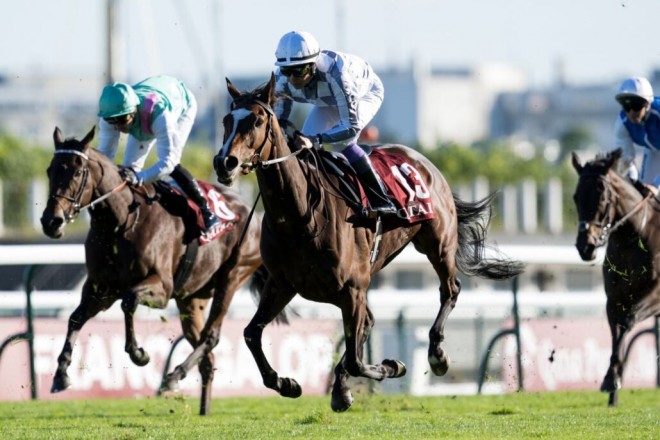 仏ロワイヤリュー賞】武豊リリーハートは11着に敗れる