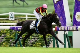 �y�V�n/����5R�z�A�G�����b�g���� �K���_�C�A���l�C�ɉ�����