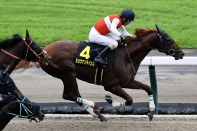 �y�O���[���`�����l��C�z�ēc�P�b�R�� �����V���E�i�����C�V�����œ����P