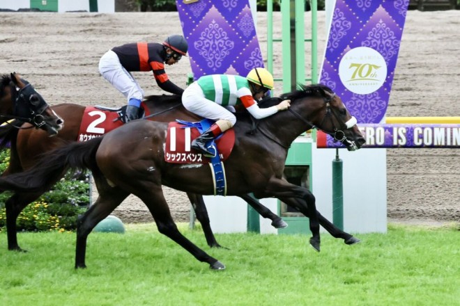 アイドルホース シックスペンス 毎日王冠 シックスペンス アイドルホース 毎日王冠 Sサイズ(旧マスコット