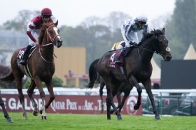 �y�M����܁z���t�u�������菟�Ă�悤�ɂ�蒼���Ă��������v�V���G���y���[�͐L�т��ꂸ