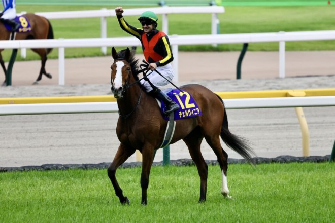 2025年 秋華賞 チェルヴィニア ポスター 2025年 秋華賞 チェルヴィニア