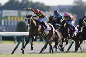 �y�H�؏܁z�`�F�����B�j�A���񊥒B���c2���ɂ͕��L�{���h�K�[��