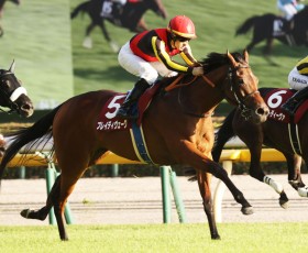 �y�{���ĔnS�z�u���C�f�B���F�[�O��11�����̋x�{����������