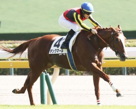 �y�V�n/����5R�z�ꃊ���[�m�[�u���̃f���N�}�[���������c��f�B�A�h���̃V�I�[�O�͍ŉ���