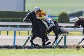 �y�V�n/���s4R�z�G���J�G�N�X�v���X���l�C�ɉ�����