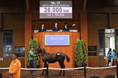 ミックスセール2024】ダービー馬・ドウデュースの半弟に2億6000万円…父