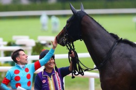 �y�V�n/���s4R�zC.�f���[���R�� ���B���A���[�g���f�r���[V�c�o�x����֌W�Ȃ�