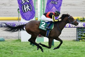 �y�A���e�~�XS�z���ǌ��u���E�����`�F�b�g���f�r���[2�A��