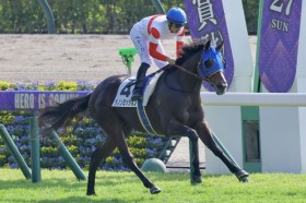 �y����2R�zC.�f���[���R�� �f�R�l�C�̃_�m���~�b�V����������