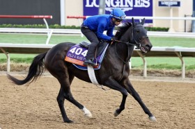 �yBC�t�B���[�����A�^�[�t�z�V���f�����Y�h���[���Ȃǋ��͉��B��������