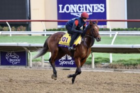 �yBC�N���V�b�N�z���[�A�u�őP��s���������v�c�V�e�B�I�u�g���C�̓_�[�g������