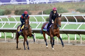 �yBC�^�[�t�zA.�I�u���C�G���t�u�ǂ��g�v���N�Z���u���N�̓`�����X�\��