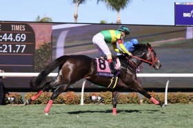 �yBC�W���x�i�C���^�[�t�X�v�����g�z�����[���R�� �G�R���[�W�[�N��8��